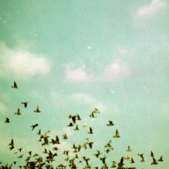 Ира Смольянова, 31.05