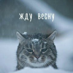 Алексей Симонов, Москва