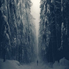 Сергей Павлов, 26.09, Воронеж