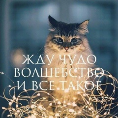 Юлия Полиит, 27.02, Одесса