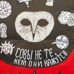 Александра Белкина, 17.04, Киев