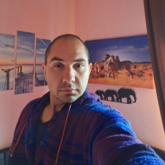 Dragoslav Stankovic