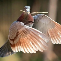 Евгений Орловский, 27.03