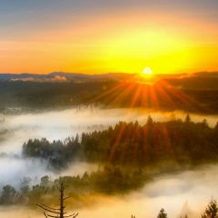 Инна Анненкова, 15.07, Волгоград