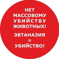 Софья Прохорова, 04.12, Иркутск