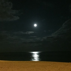 Alexander Litvinov, 05.01, Москва