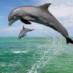 Александр Чугунов, 06.03.2007, Луганск