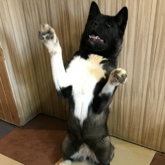 Ирина Шепелева, 09.08, Санкт-Петербург