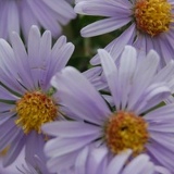 Татьяна Пунтус, 14.02.1981, Киев