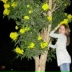 Анна Ельчанинова, 07.06, Москва