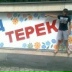 Кантемир Карашаев, Терек