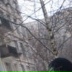 Пашка Blackpower, 11.06, Санкт-Петербург