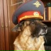 Мухтар Жаров, 28.10.1994, Москва