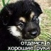Иван Макаревич, 25.04.1997, Снятин