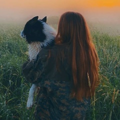 Солнечный Блик