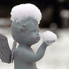 Fleur De-Lune, 31.05, Paris