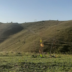 Samal Arykbay, 02.07.1994, Алматы