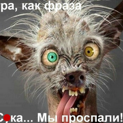 Алик Иванов, 15.06, Самарканд