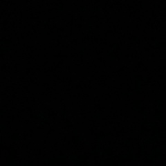 Шынгыс Адырбек, Алматы