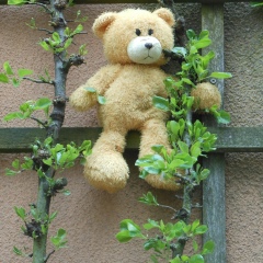 Евгений Литвинов, 12.12