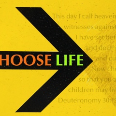 Саид Камилов, 26.06, Алматы