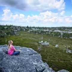 Аннушка Фрэккен, 12.09