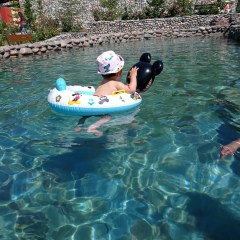 Василиса Андреева, 27.11, Darwin