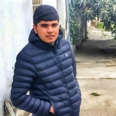 Elmar Mamedov, 24.01, Шамкир