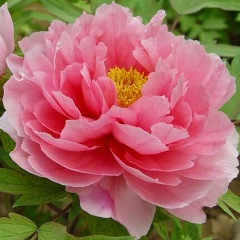 Ирина Клименко, 01.06