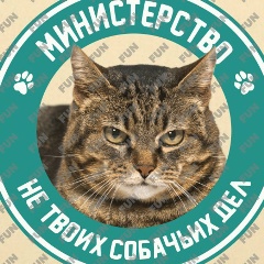 Ярослав Смаликис, 09.08.1986, Санкт-Петербург