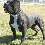 Улук Бусурманалиев, 21.03.1994