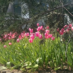 Татьяна Александрова, 23.05.1986, Bursa