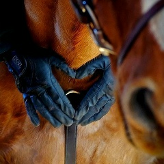 Дарья Симакова, 31.10, Санкт-Петербург
