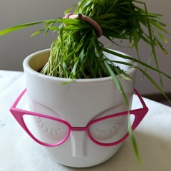 Tina Crop, Санкт-Петербург