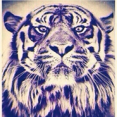 Mereke Zinel, 14.11, Шалкар