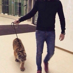 Bilal Khuchiev