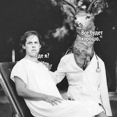 Саша Бамбізо, 31.12.1981