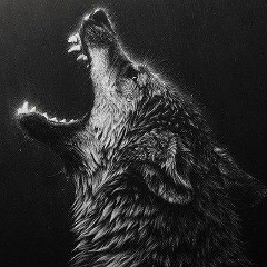 Алмас Сатыбалдиев, Алматы