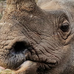 Potapoff Фамилия, 01.07.1986, Санкт-Петербург