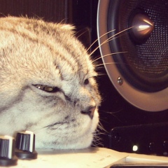 Денис Маркин, 28.04, Волгодонск