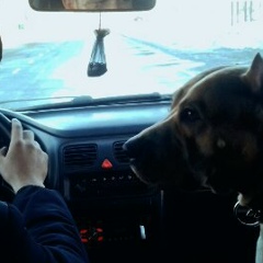 Алексей Падалкин, 09.09.1988, Талдыкорган