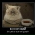 Никита Пинчук, 25.04.1987