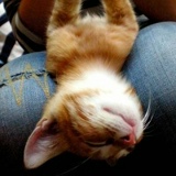 Мариям Тимофеева, 21.09