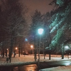 Алексей Зимин, Ярославль