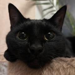 Мария Ионова, Санкт-Петербург