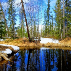Валентина Корниенко, 09.01, Тарко-Сале