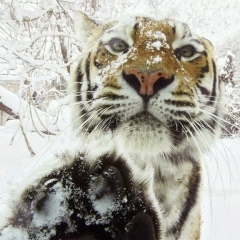 Женя Телегин, 24.01, Алматы