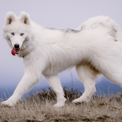 Дарья Ивановна, 24.12, Москва
