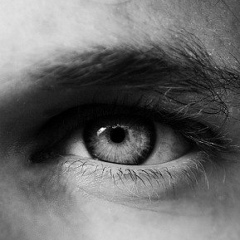 Игорь Глоба, 18.02.1992, City Lands of Los Angeles