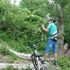Maksym Petrov